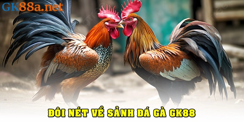 Đôi nét về đá gà GK88